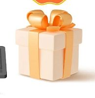 FREE GIFT